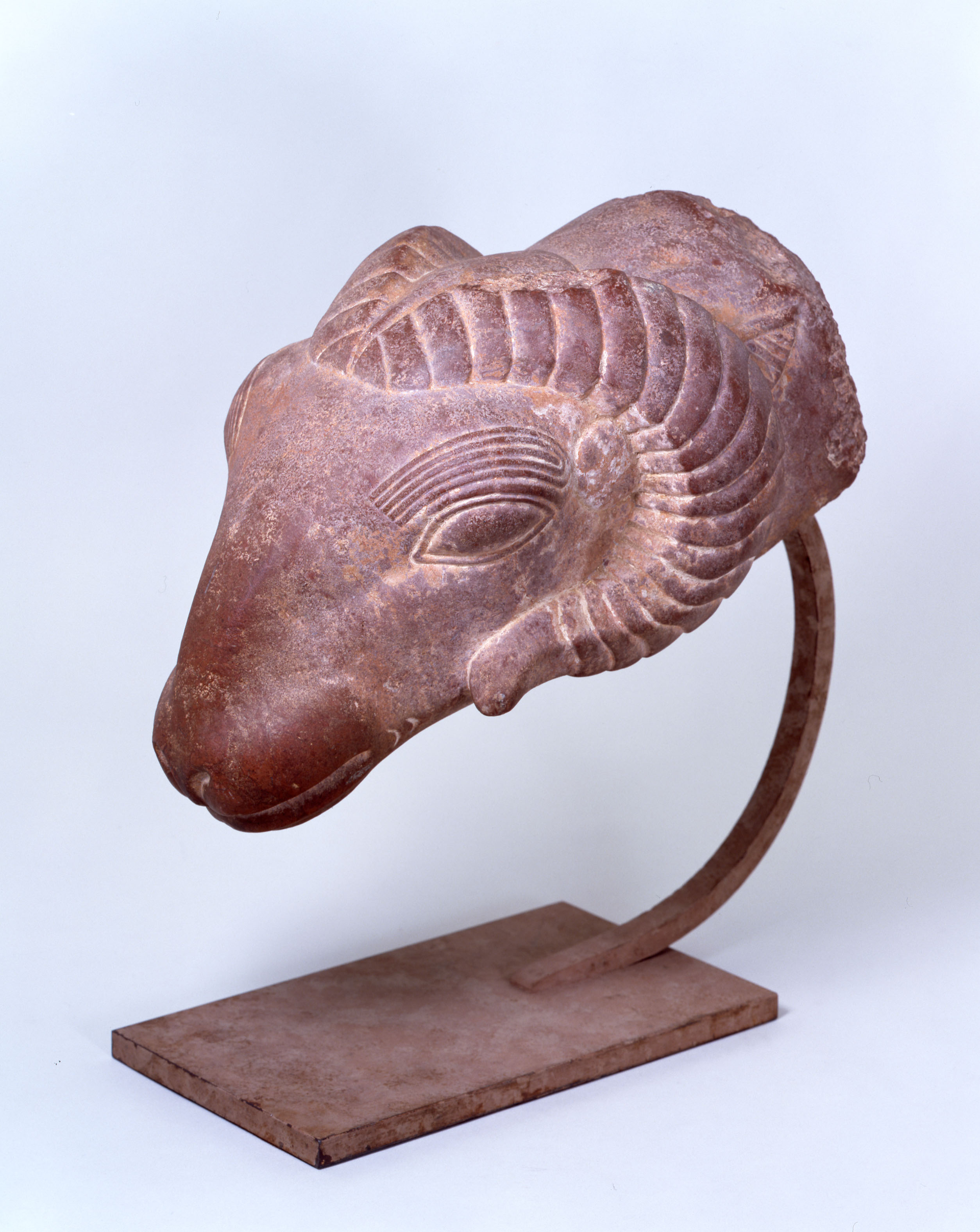 羊頭　羊像頭部